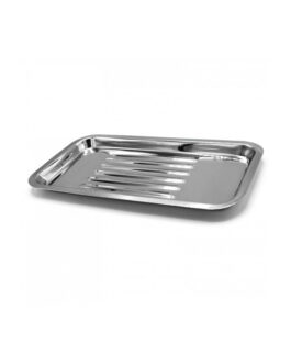 Dental Instruments Scaler Tray