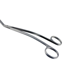 Dean Scissors