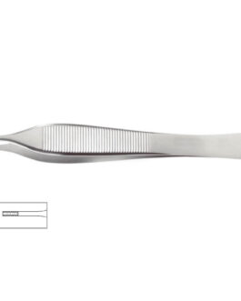 Adson Forceps