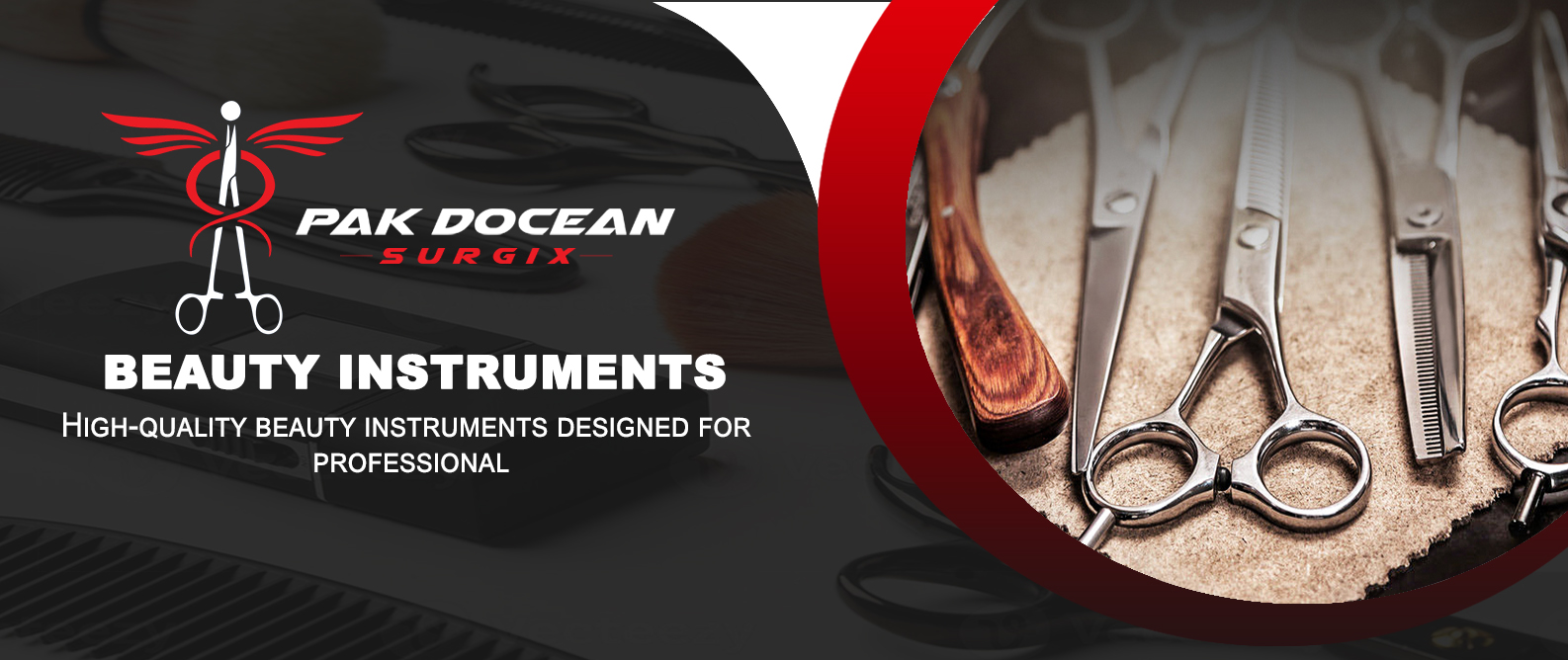 Beauty Instrument Banner